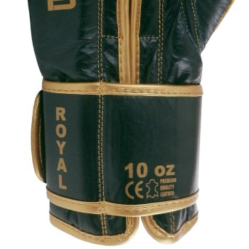 Boxerské rukavice ROYAL-NEW, koža