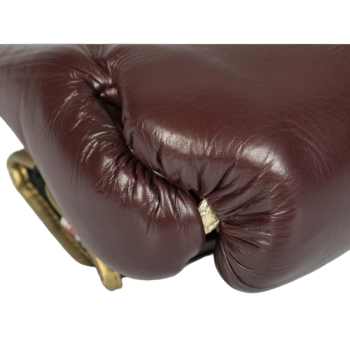 PRO CLASSIC Boxing gloves for competition