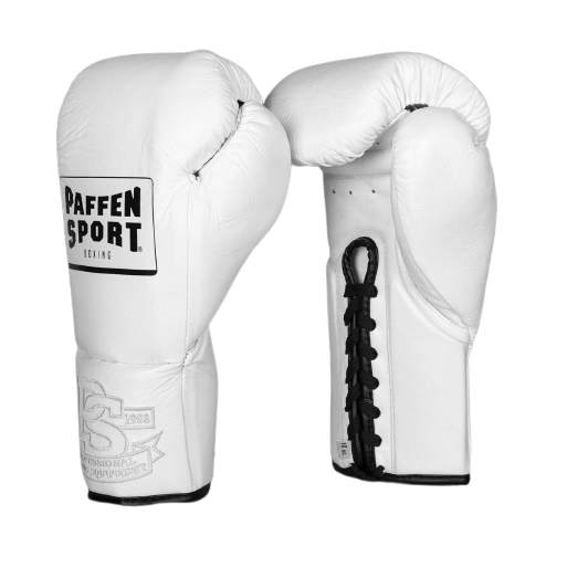 PRO CLASSIC Boxing gloves for competition - white
