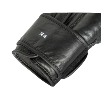 STAR III Boxing gloves for sparring