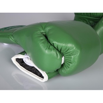 PRO CLASSIC Boxing gloves for competition - green