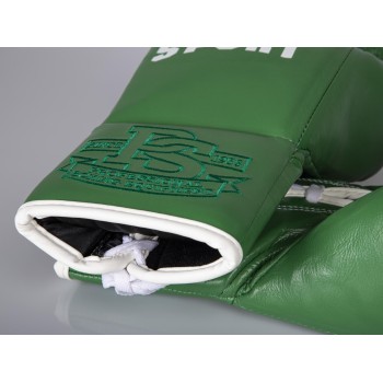 PRO CLASSIC Boxing gloves for competition - green