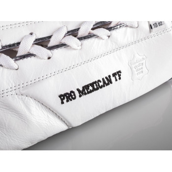 PRO MEXICAN TF Boxing gloves for competition