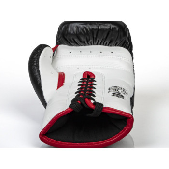 PRO Heavy Hitter Sparring gloves | R.G.SHOP - boxing